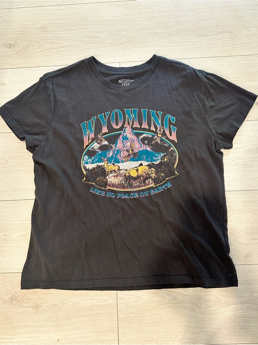 Vintage Wyoming Graphic Tee Dark Gray with Multicolor Print